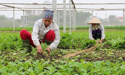 Sản xuất sạch: Con thuyền không lái (27/10/2016)